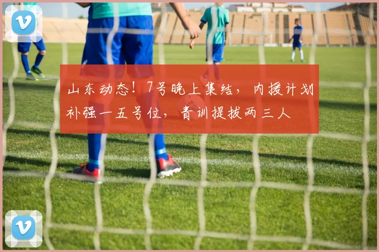 山东动态！7号晚上集结，内援计划补强一五号位，青训提拔两三人